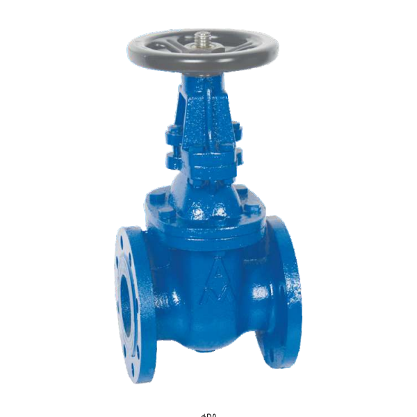 6196B制铁法兰明杆闸阀