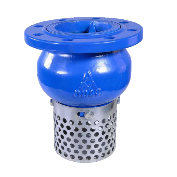 9499铸铁法兰底阀